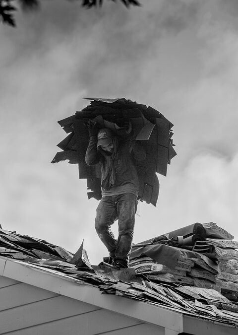 builder