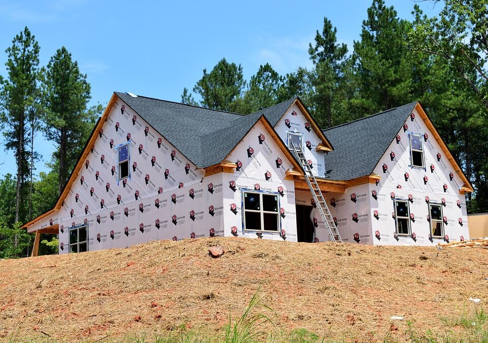 builder